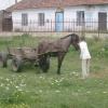 Csapattábor 2006 Erdély 3.nap - Kolozsvár, Szamosújvár, Boncida